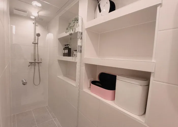 Dmc Premium House 4*