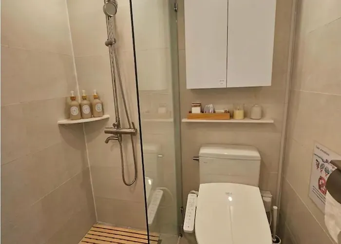Dmc Premium House