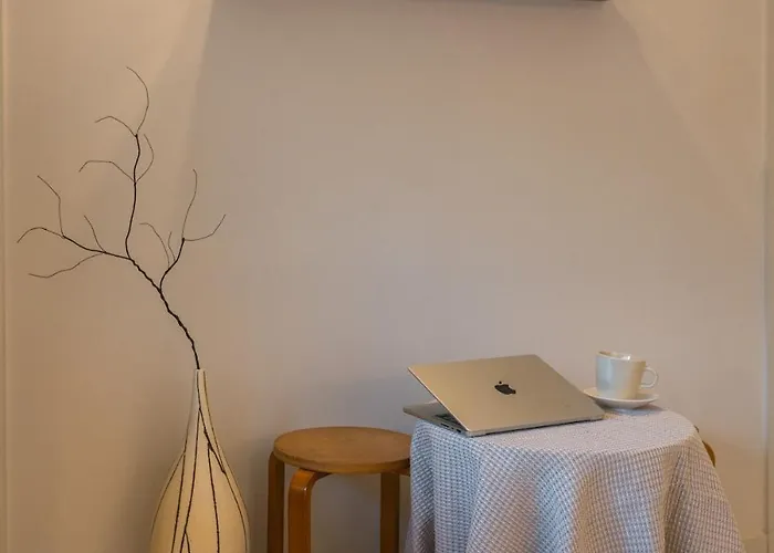 Dmc Premium House